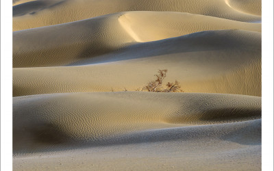 타크라마칸 사막 겨울편 #4