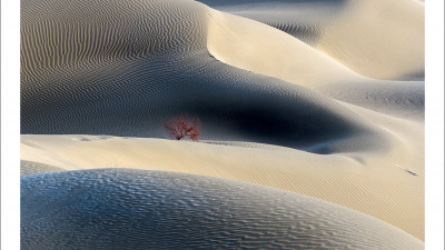 타클라마칸 사막 겨울편 #18