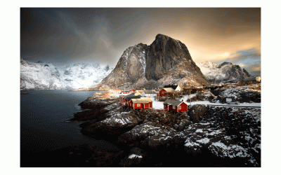 Reine