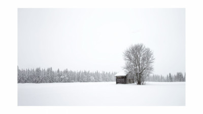 Into Winter