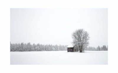 Into Winter