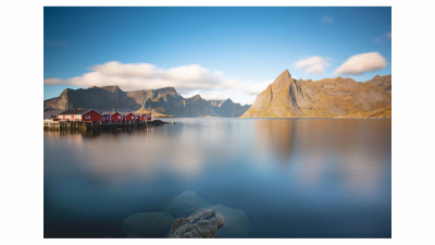 Reine