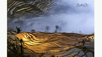 THE LAST LIGHT OF THE DAY