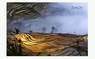 THE LAST LIGHT OF THE DAY