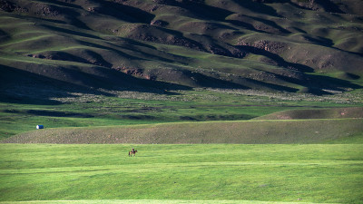 Horseman