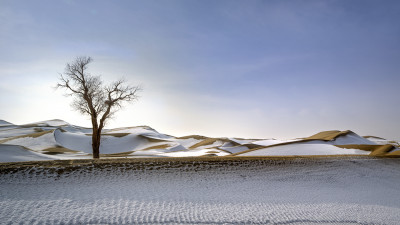 2025 타클라마칸의  겨울