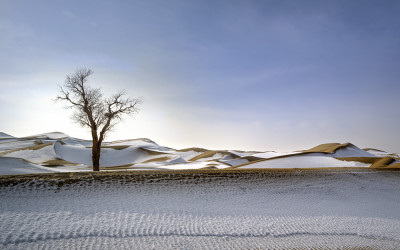 2025 타클라마칸의  겨울