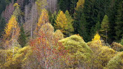 2025  10월 돌로미티