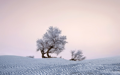 2025 타클라마칸의 겨울