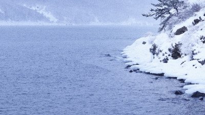 Winter Angara