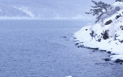 Winter Angara