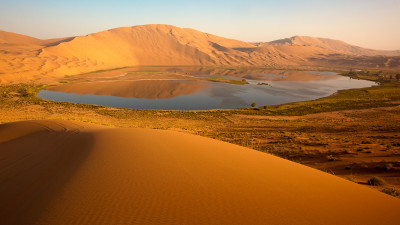 OASIS