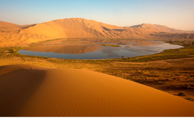 OASIS