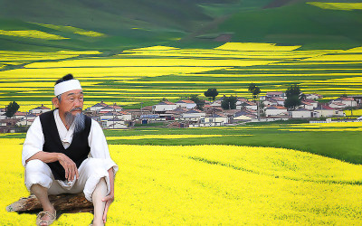 청해성 농부