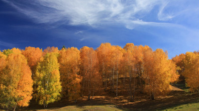2010 허무향-2