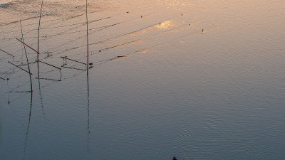 Alone