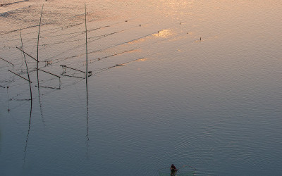 Alone