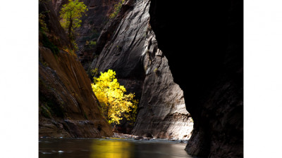 Zion National park