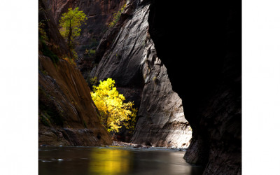 Zion National park
