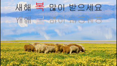 새해 복 많이 받으세요....