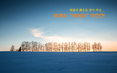 비에이 전시회에 초대합니다