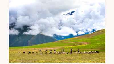ANDES