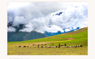 ANDES