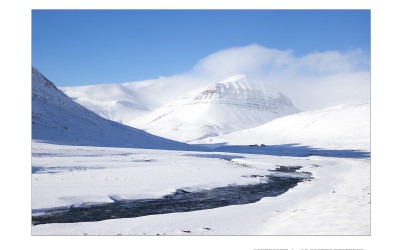 WHITE LAND