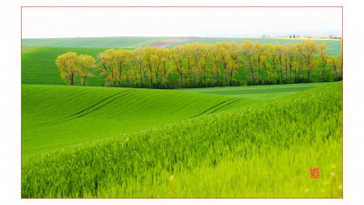 Green....Green