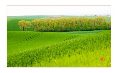 Green....Green