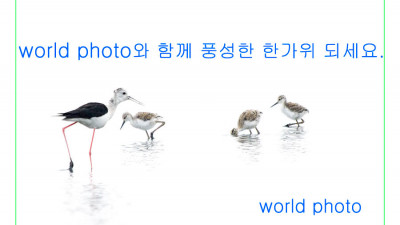 한 가위