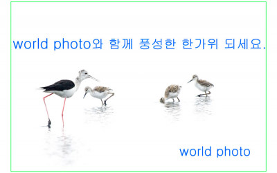 한 가위