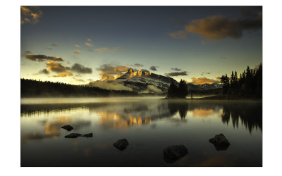 GOLDEN SUNRISE