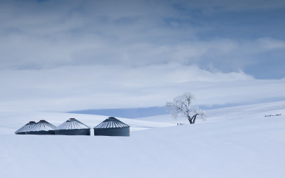 2016'palouse