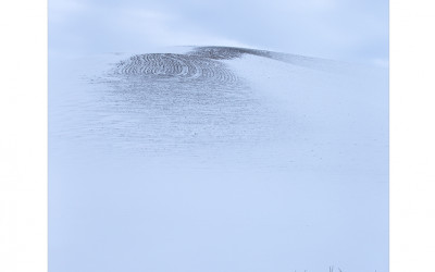 palouse 8