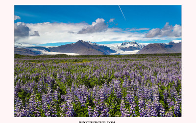 ICELANDIC SUMMER