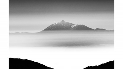La palma