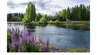 New Zealand4