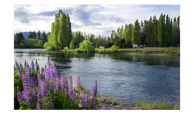 New Zealand4