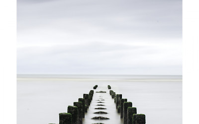Into Sea V