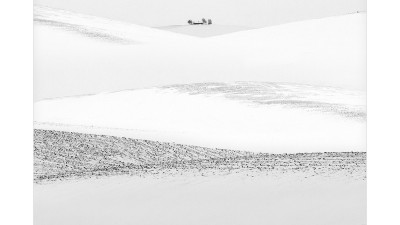 팔루스3