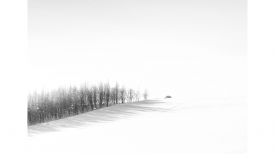 겨울
