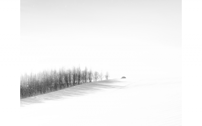 겨울