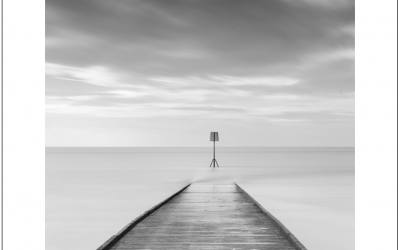 Into Sea