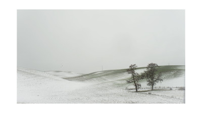 The winter of Palouse