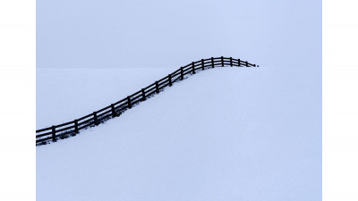 팔로스