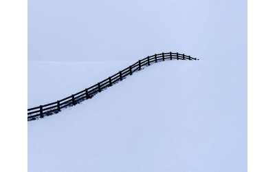 팔로스
