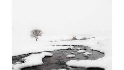 winter  Palouse