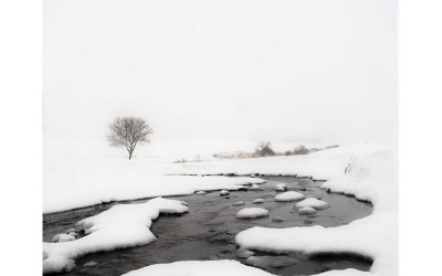 winter  Palouse