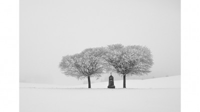 그리움1